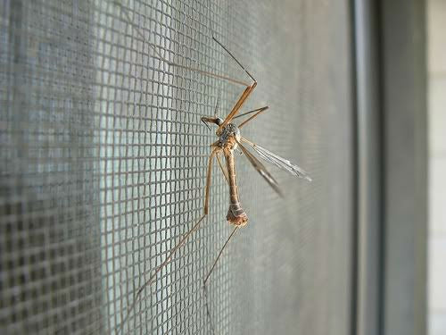 5762d2f2a1a79230ef5ba07e93537cba 5762d2f2a1a79230ef5ba07e93537cba